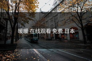 暖暖 在线观看 免费 日本
