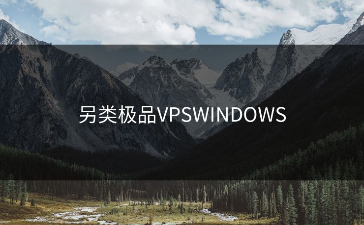 另类极品VPSWINDOWS 另类极品VPSWINDOWS