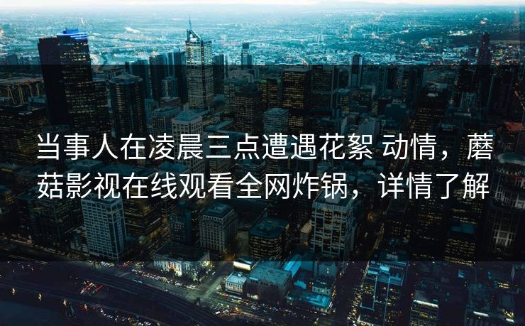 当事人在凌晨三点遭遇花絮 动情，蘑菇影视在线观看全网炸锅，详情了解