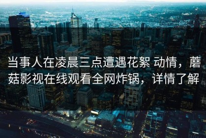 当事人在凌晨三点遭遇花絮 动情，蘑菇影视在线观看全网炸锅，详情了解