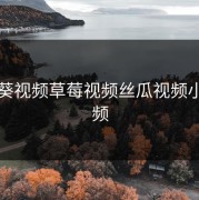 向日葵视频草莓视频丝瓜视频小猪视频