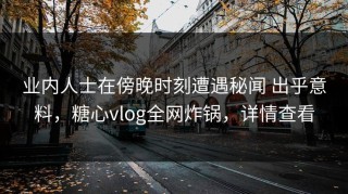 业内人士在傍晚时刻遭遇秘闻 出乎意料，糖心vlog全网炸锅，详情查看